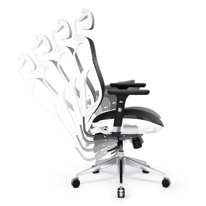 Ergonomic Chair Diablo V-Basic: white-black
