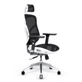 Ergonomic Chair Diablo V-Basic: white-black